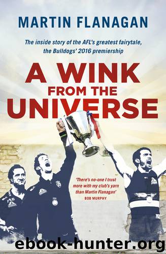 A Wink from the Universe by Martin Flanagan