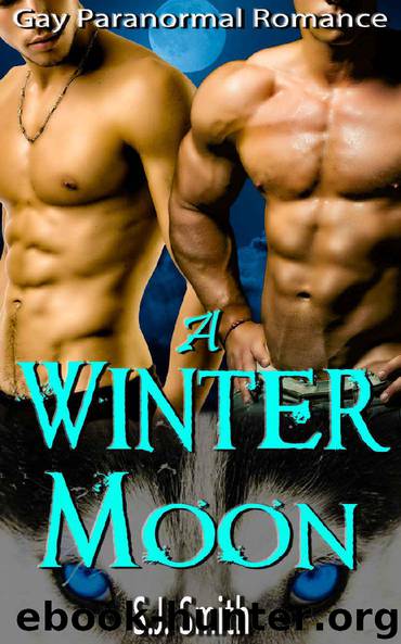A Winter Moon by S.J. Smith