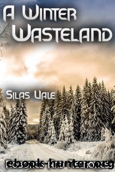 A Winter Wasteland by Silas Vale