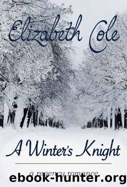 A Winter's Knight by Elizabeth Cole
