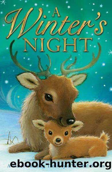 A Winter's Night by Various