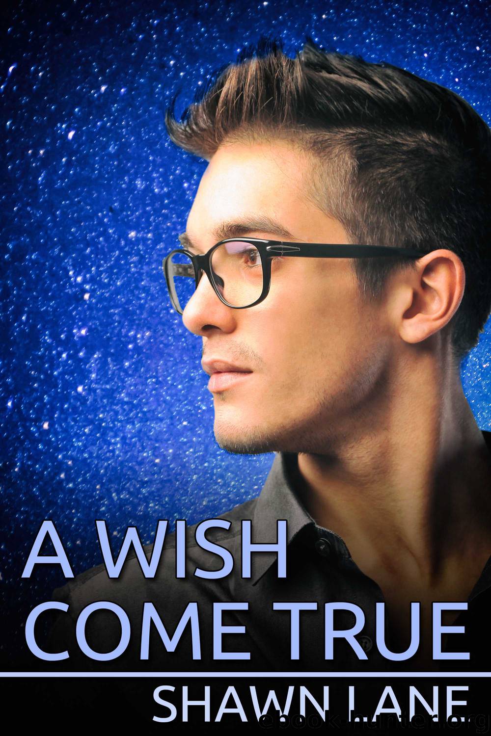 A Wish Come True by Shawn Lane