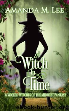 A Witch In Time by Amanda M. Lee