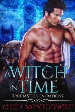 A Witch in Time: True Mates Generations Book 4 by Alicia Montgomery