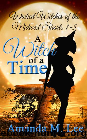 A Witch of a Time by Amanda M Lee