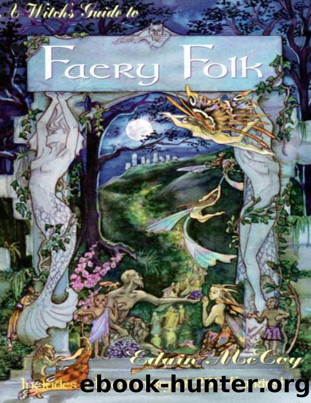 A Witch's Guide to Faery Folk: How to Work with the Elemental World (Llewellyn's New Age) by Edain McCoy