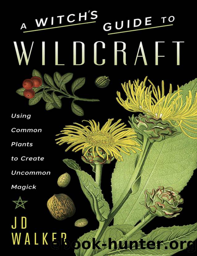 A Witch's Guide to Wildcraft by JD Walker