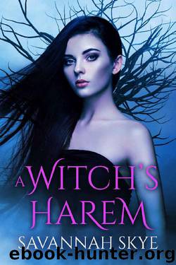 A Witch's Harem: Reverse Harem Fantasy by Savannah Skye