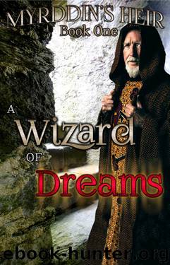 A Wizard of Dreams by Robin Chambers
