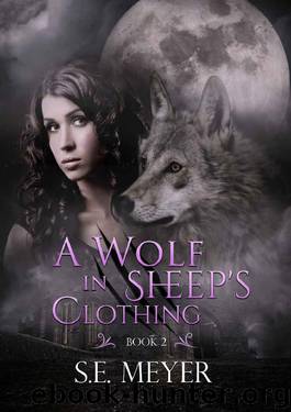 A Wolf In Sheep's Clothing by S E Meyer