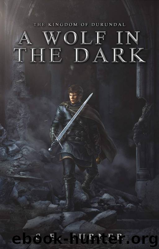 A Wolf in the Dark by S E Turner