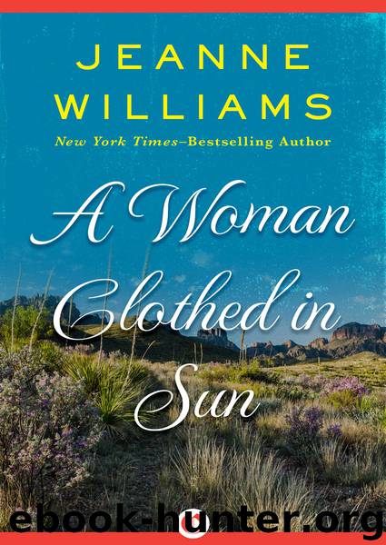 A Woman Clothed in Sun by Jeanne Williams