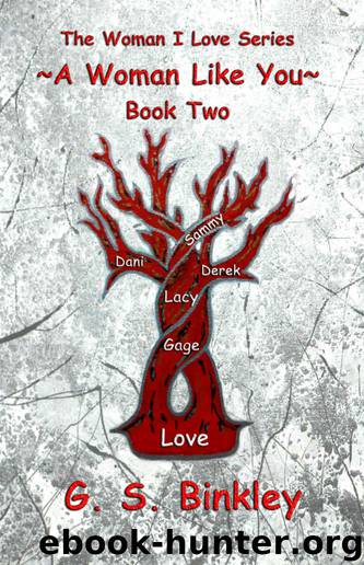 A Woman Like You by G. S. Binkley