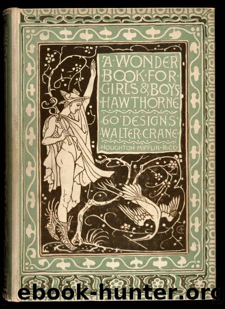 A Wonder Book For Girls and Boys by Unknown