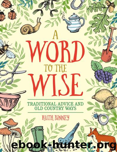 A Word to the Wise by Ruth Binney