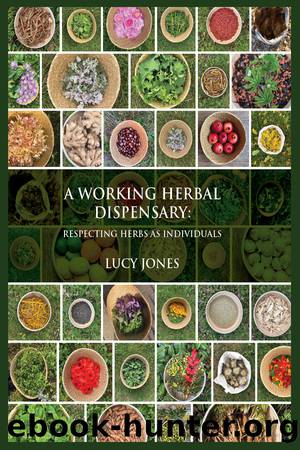 A Working Herbal Dispensary by Jones Lucy;