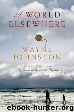 A World Elsewhere by Wayne Johnston