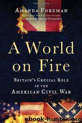 A World on Fire: Britain's Crucial Role in the American Civil War by Amanda Foreman