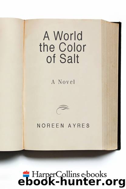 A World the Color of Salt by Noreen Ayres