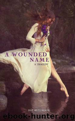 A Wounded Name (Fiction - Young Adult) by Hutchison Dot