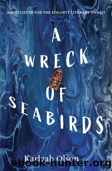 A Wreck of Seabirds by Karleah Olson