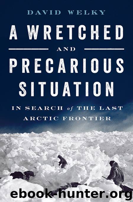 A Wretched and Precarious Situation by David Welky