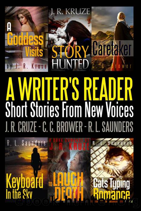 A Writer's Reader by J. R. Kruze & C. C. Brower & R. L. Saunders