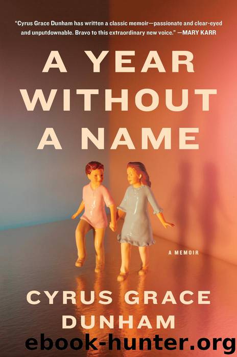 A Year Without a Name by Cyrus Grace Dunham