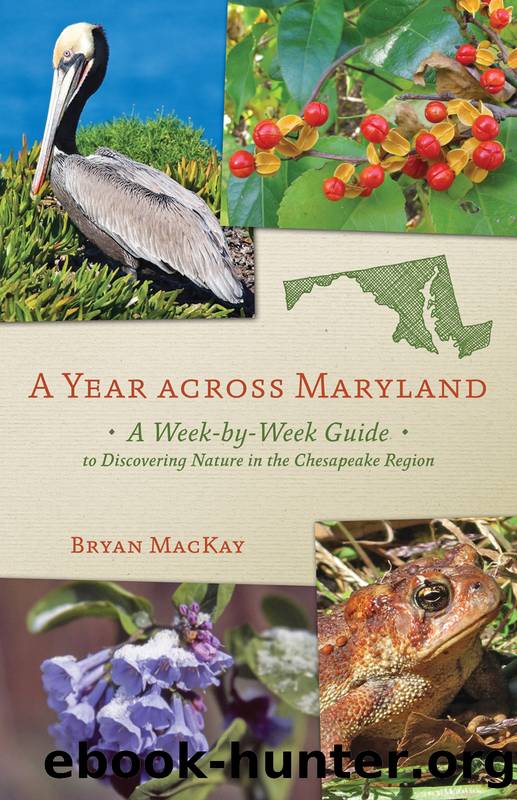A Year across Maryland by Bryan MacKay