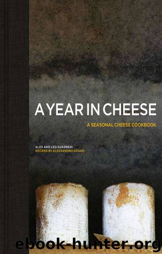 A Year in Cheese by Alex Guarneri
