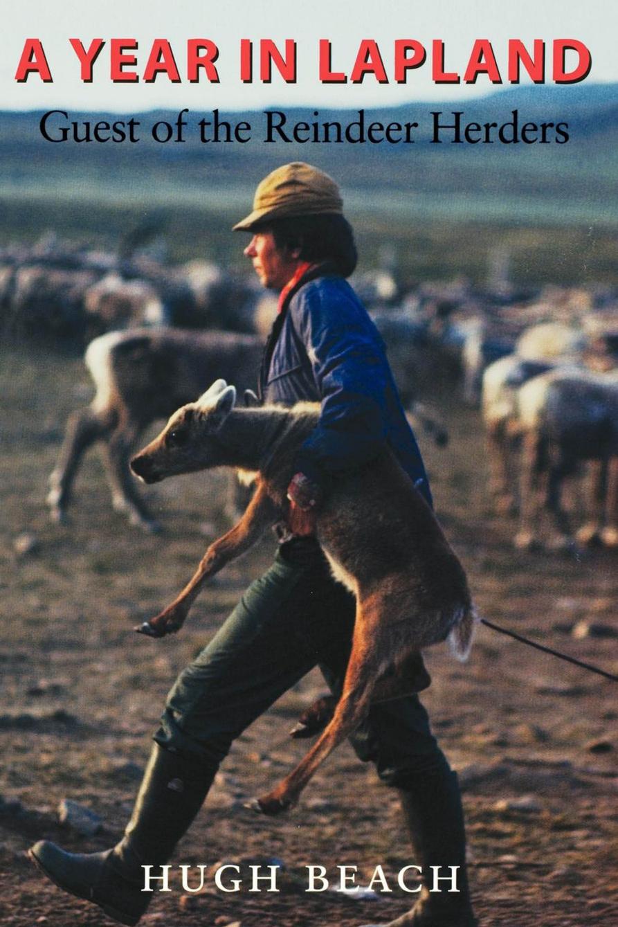 A Year in Lapland : Guest of the Reindeer Herders by Hugh Beach