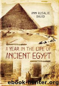 A Year in the Life of Ancient Egypt by Ann Rosalie David