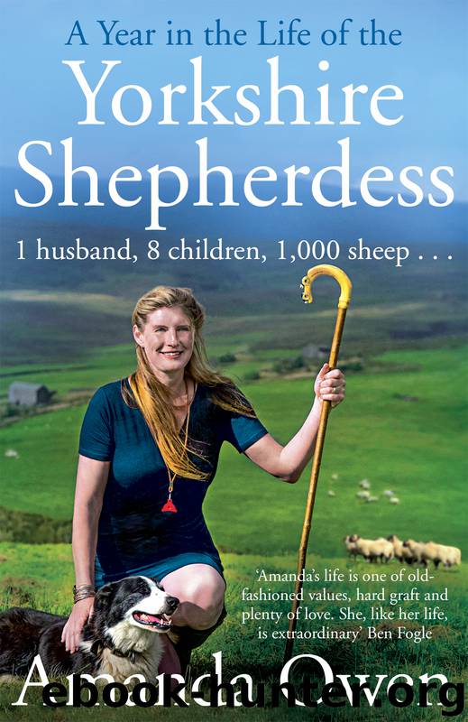A Year in the Life of the Yorkshire Shepherdess by Amanda Owen