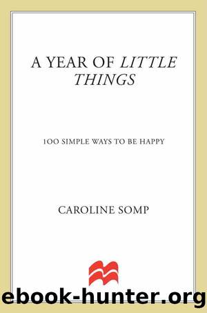 A Year of Little Things by Caroline Somp