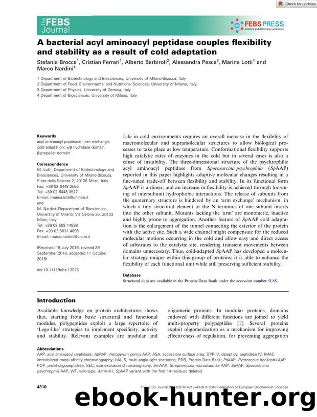 A bacterial acyl aminoacyl peptidase couples flexibility and stability as a result of cold adaptation by Unknown