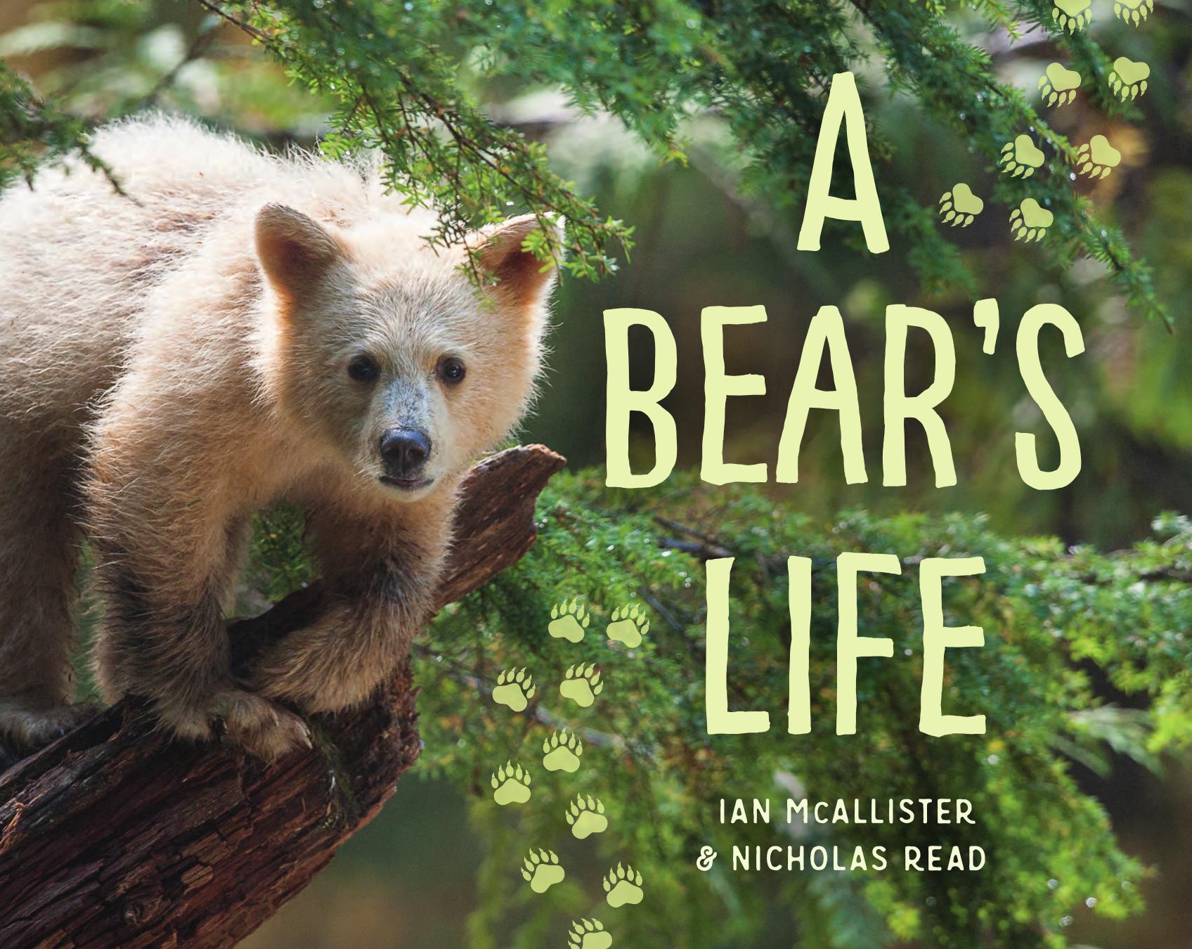 A bear's life by McAllister Ian;Read Nicholas