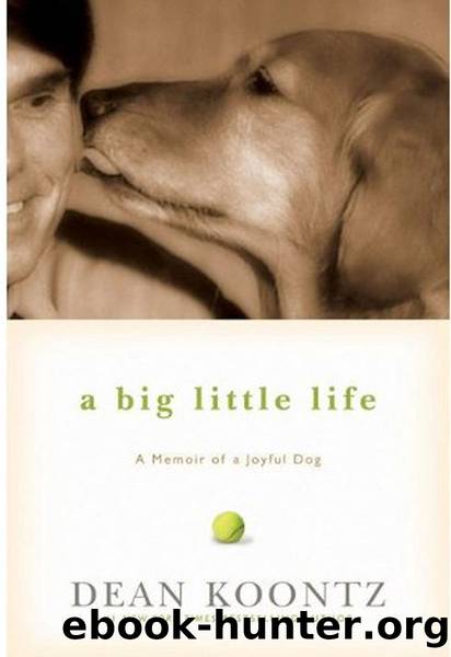 A big little life by Dean Koontz