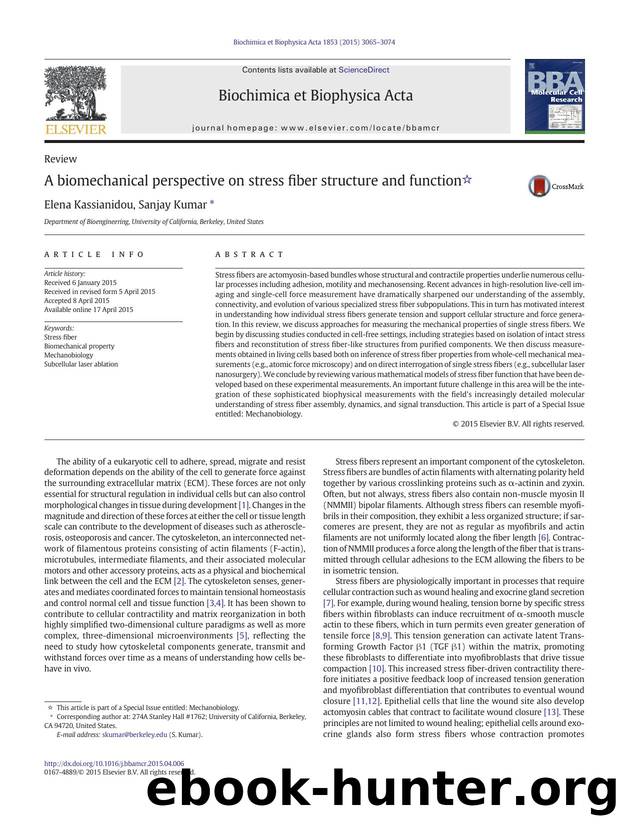 A biomechanical perspective on stress fiber structure and function by Elena Kassianidou & Sanjay Kumar