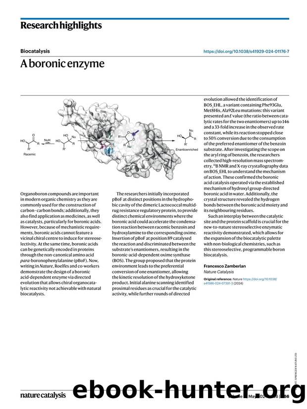 A boronic enzyme by Francesco Zamberlan