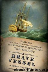 A brave vessel: the true tale of the castaways who rescued Jamestown and inspired Shakespeare's The tempest by Hobson Woodward