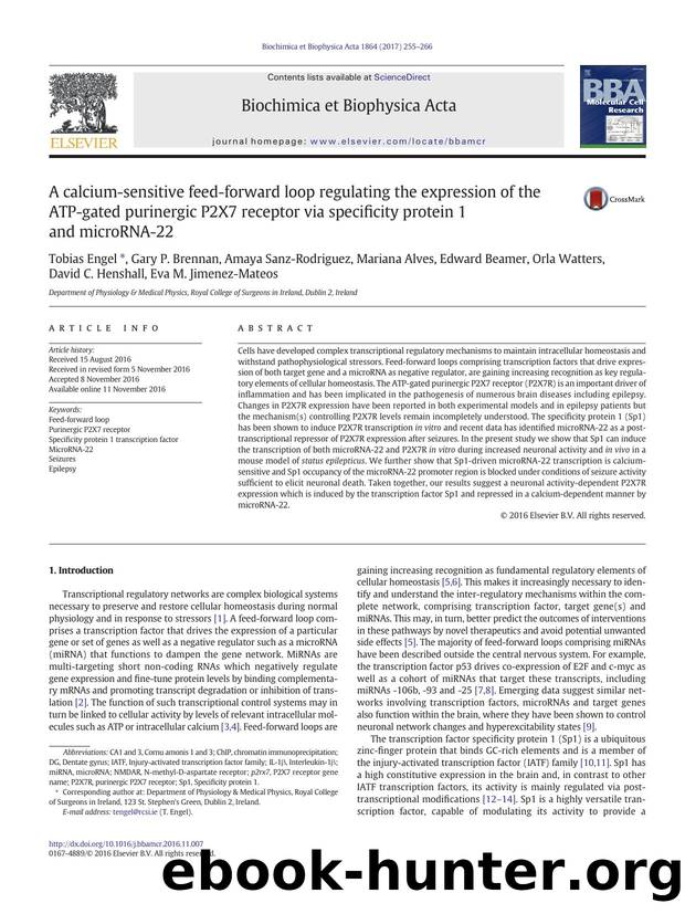 A calcium-sensitive feed-forward loop regulating the expression of the ATP-gated purinergic P2X7 receptor via specificity protein 1 and microRNA-22 by unknow