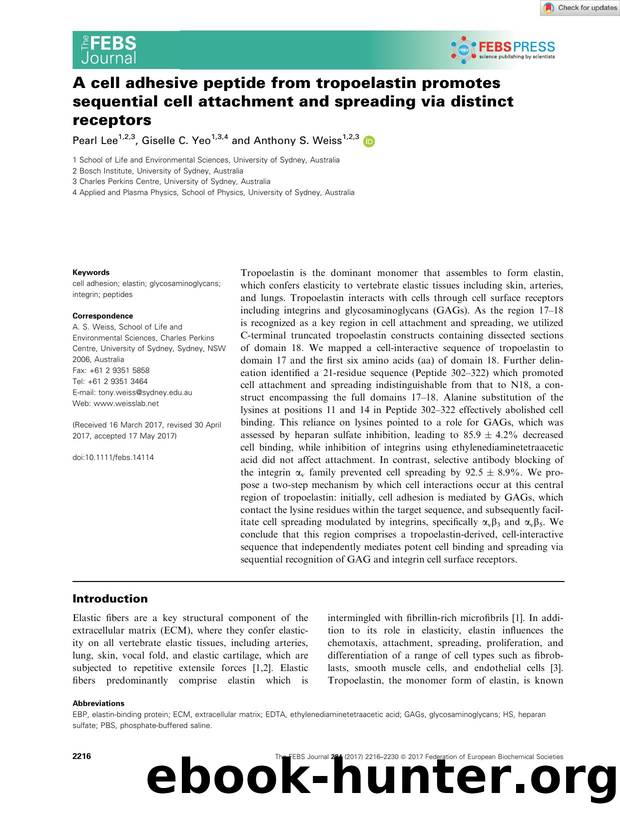 A cell adhesive peptide from tropoelastin promotes sequential cell attachment and spreading via distinct receptors by Unknown