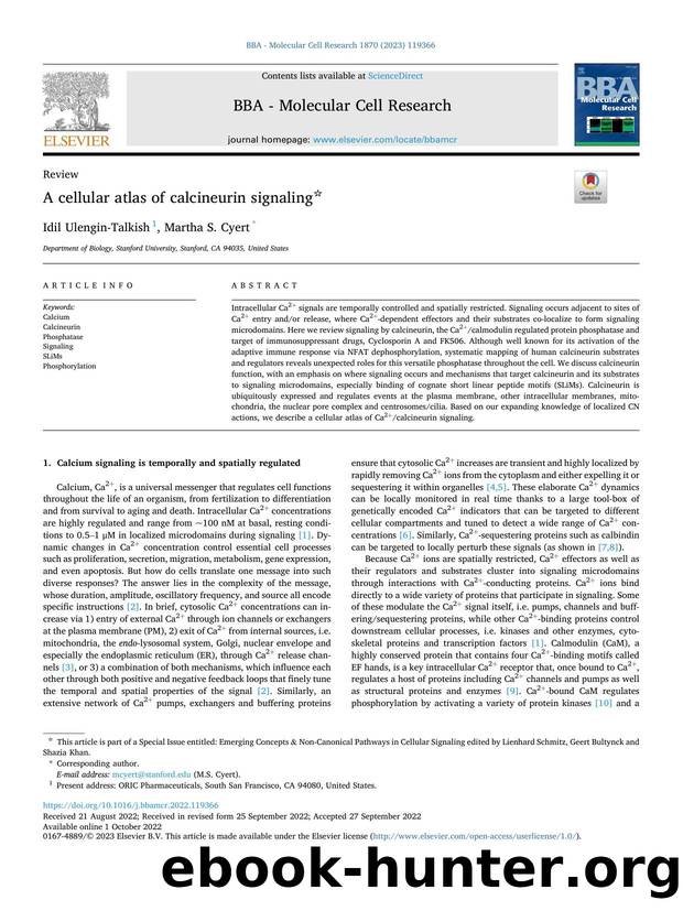A cellular atlas of calcineurin signaling by Idil Ulengin-Talkish & Martha S. Cyert