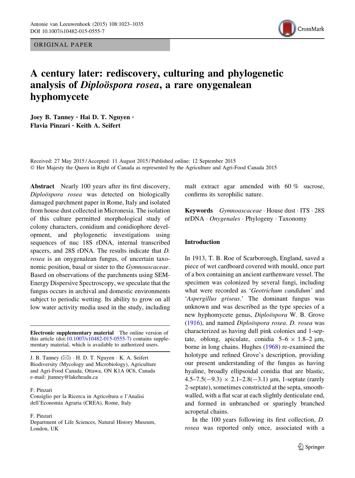 A century later: rediscovery, culturing and phylogenetic analysis of DiploÃ¶spora rosea, a rare onygenalean hyphomycete by Joey B. Tanney & Hai D. T. Nguyen & Flavia Pinzari & Keith A. Seifert