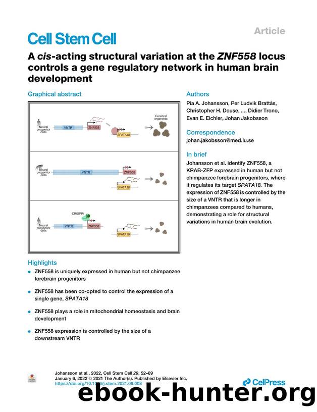 A cis-acting structural variation at the ZNF558 locus controls a gene regulatory network in human brain development by unknow