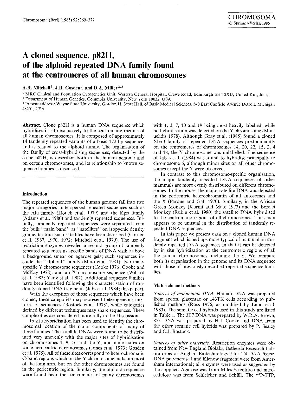 A cloned sequence, p82H, of the alphoid repeated DNA family found at the centromeres of all human chromosomes by Unknown