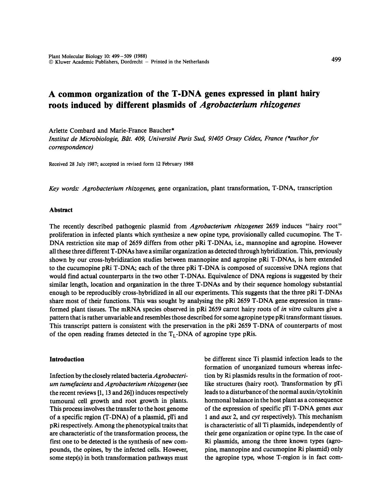 A common organization of the T-DNA genes expressed in plant hairy roots induced by different plasmids of <Emphasis Type="Italic">Agrobacterium rhizogenes<Emphasis> by Unknown
