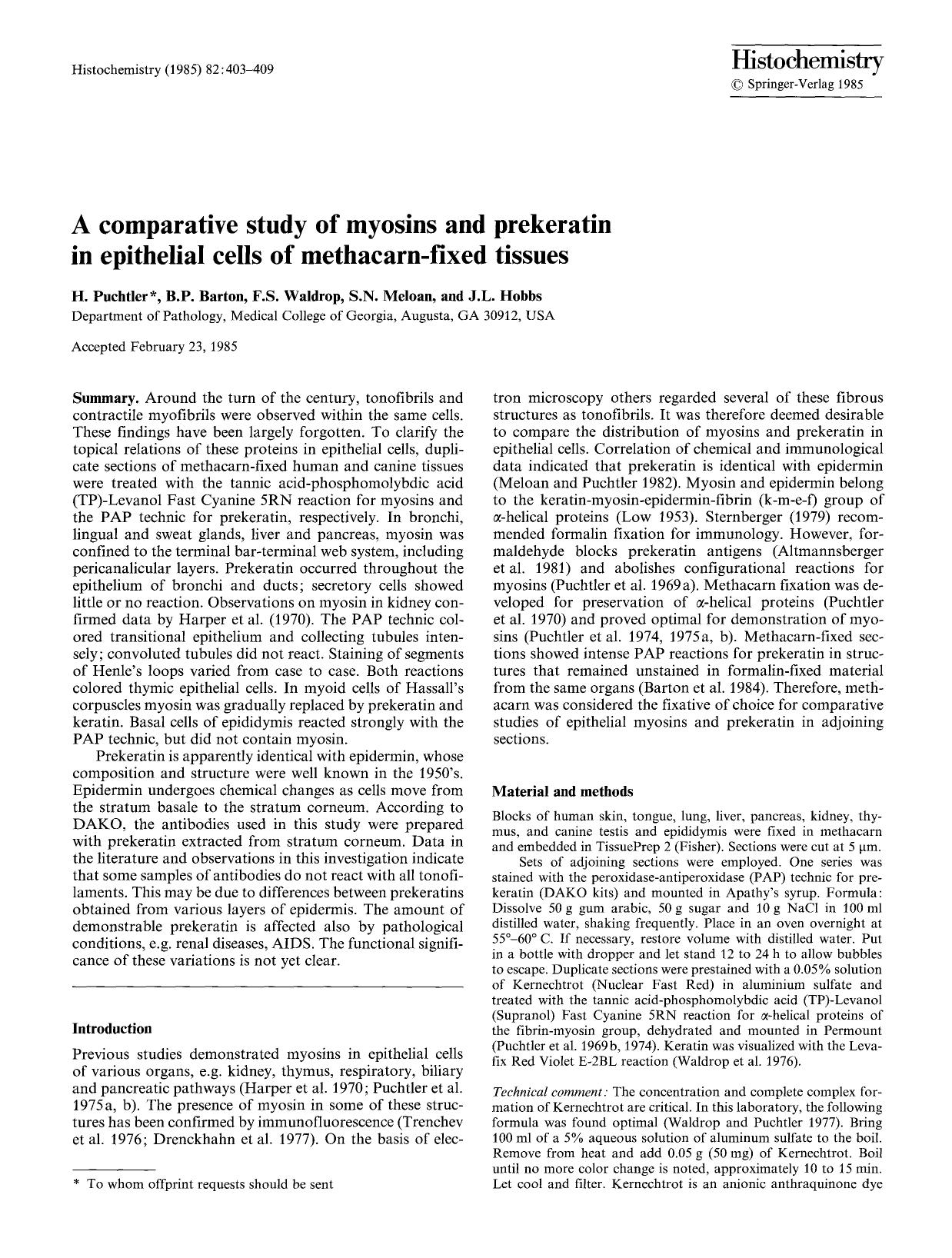 A comparative study of myosins and prekeratin in epithelial cells of methacarn-fixed tissues by Unknown