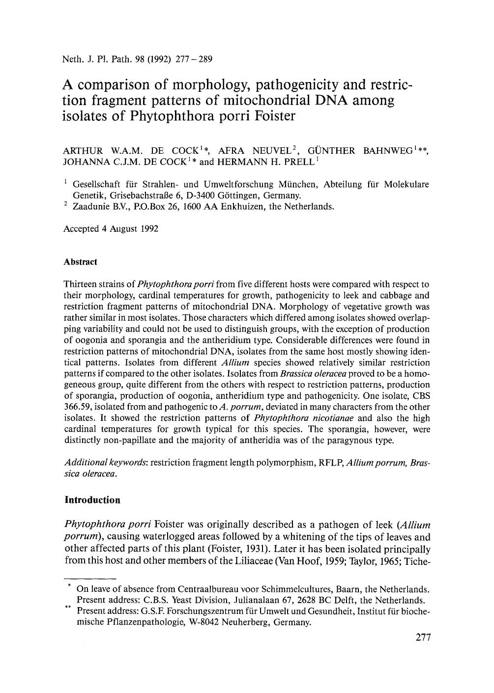 A comparison of morphology, pathogenicity and restriction fragment patterns of mitochondrial DNA among isolates of Phytophthora porri Foister by Unknown