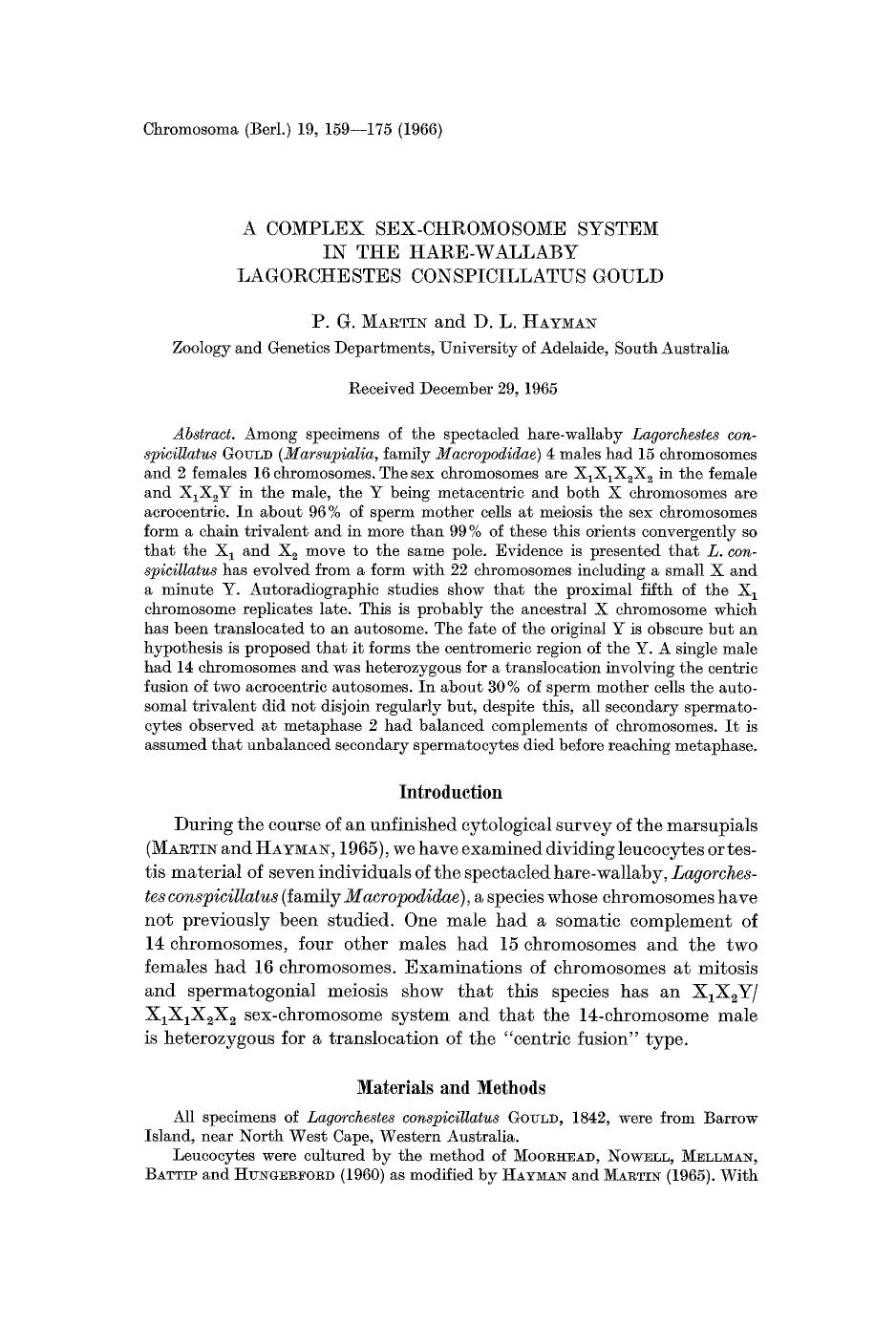 A complex sex-chromosome system in the hare-wallaby Lagorchestes conspicillatus Gould by Unknown